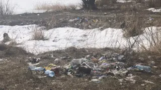Растаявший снег обнажил грязь и мусор Борковского карьера