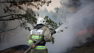 Сотрудники рязанского МЧС за сутки выезжали тушить траву 68 раз 