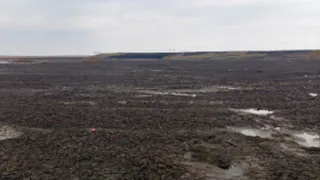 Рязанская компания заплатит 200 тысяч за порчу земли в Захаровском районе
