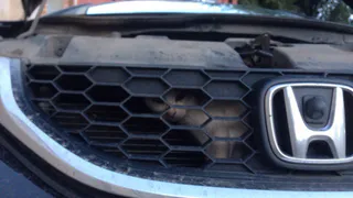 Рязанец разобрал автомобиль, чтобы достать котенка