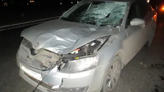 В Рязанской области иномарка насмерть сбила пешехода