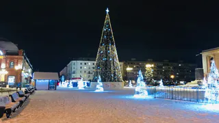 Павел Малков отменил новогодние фейерверки в Рязанской области