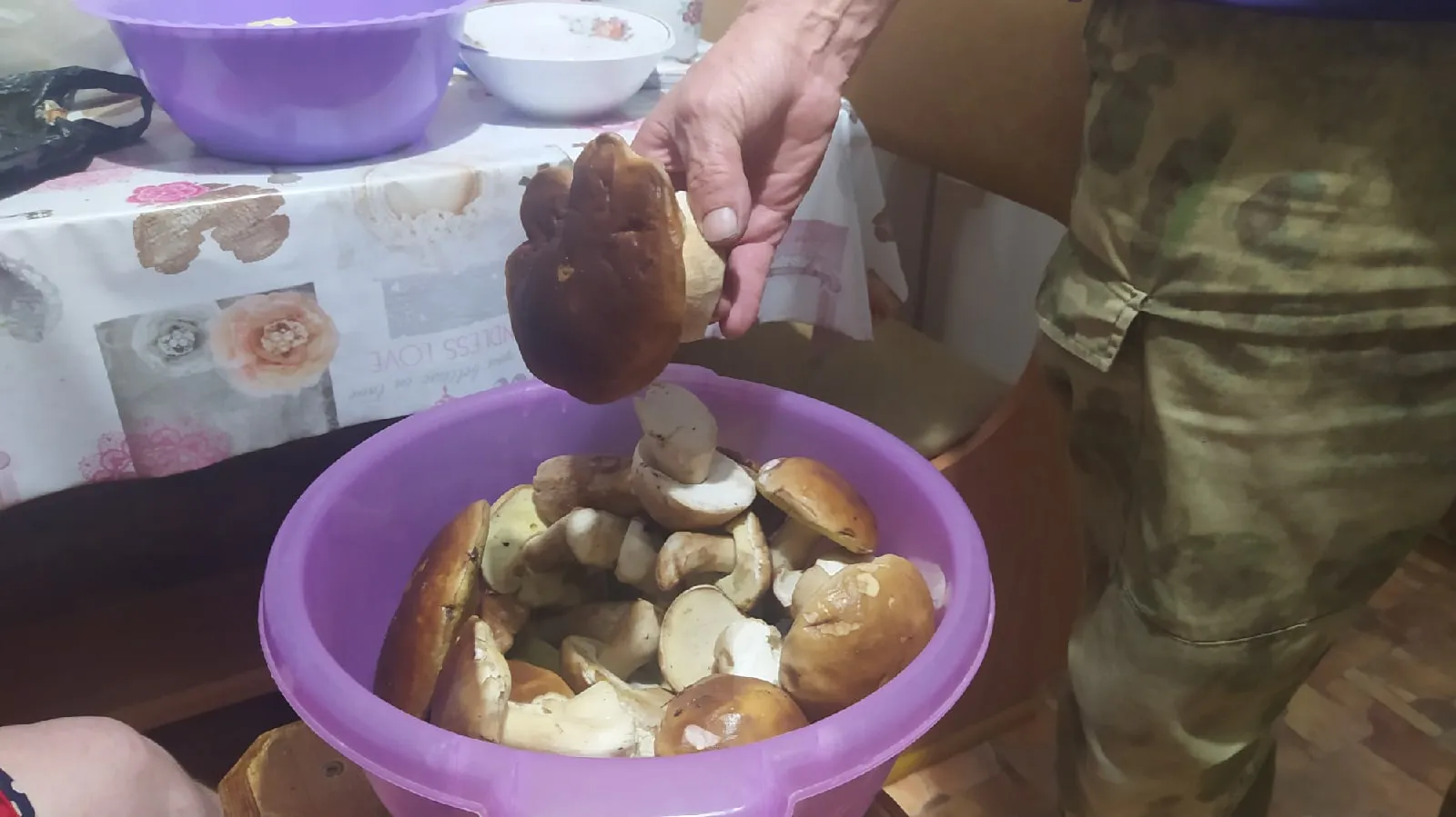 Близкий родственник рыжика - плотный, сладкий и мясистый: грибники его не собирают, а зря