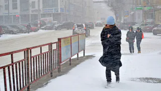 Празднуйте дома: 8 марта в Рязанской области ожидаются метель и гололед