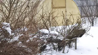 Сотовый поликарбонат для теплиц ушел в прошлое: опытные огородники нашли вариант надежнее - с мягким микроклиматом и легкостью в замене