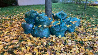 Сотрудники Рязанской НПК проводят субботники