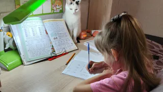 Гений или неудачник: что на рабочем столе, которая вас выдает - куда смотреть