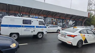 В Рязанской области уничтожили 13 очагов дикорастущей конопли