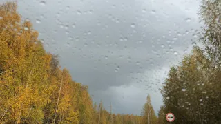 Открытие новых направлений: обнародован проект федеральной трассы, которая пройдет через Рязань