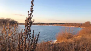 О погоде в воскресенье: рязанцев предупредили о гололеде