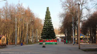 С 9 ноября в Рязани начнут устанавливать ели к Новому году