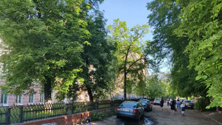 За парковку на газонах в Рязани оштрафовали больше шести тысяч человек