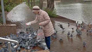 В старости пригодятся не друзья, не дети, не муж и не жена, а эти 4 вещи - полезно знать и молодым, и старым