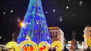 В Рязани заменят более 17 000 фонарей