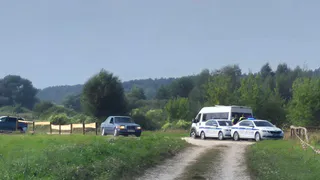 Рязанская полиция ищет водителя, сбившего женщину на тротуаре