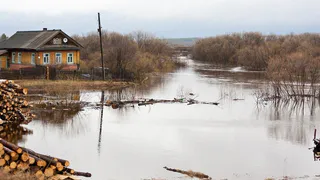 В Рязанской области в 2022 году прогнозируется тёплый март
