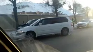 Врезался в дерево: на улице Чкалова произошло ДТП