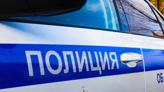 5 декабря ГИБДД Рязанской области проводят рейд «Источник света»