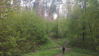 В Рязанской области снова горел лес