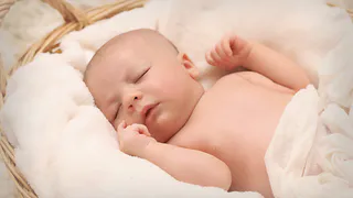 В мае 2023 года в Рязанской области родились Пересвет и Клеопатра