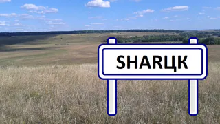 Рязанские акулы: в Шацком районе откопали останки доисторических рыб