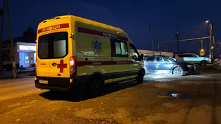 В Рязани питбуль напал на ребенка