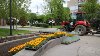 В Рязани снова высадят погибшую от заморозков клумбу на площади Победы