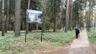 Запрет на лесной отдых в Рязанской области продлили: за что будут штрафовать