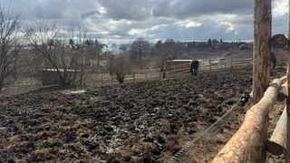В Рязанской области посеяно уже 500 тыс. гектаров