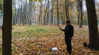 В рязанском ЦПКиО подсчитали "витамины воздуха" в дубовых аллеях 