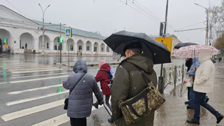 МЧС предупредило рязанцев о грозе, граде и сильном ветре