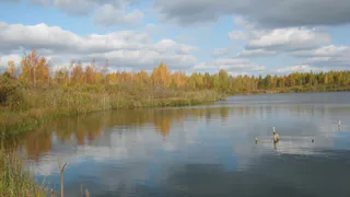 В МЧС рассказали сколько рязанцев утонуло с начала лета