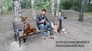 Рязанцы жалуются на плачевное состояние Комсомольского парка