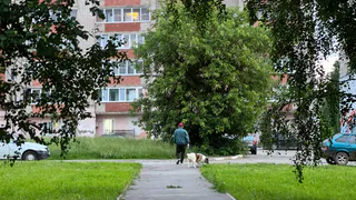 Две рязанские УК заплатят полмиллиона за халатность