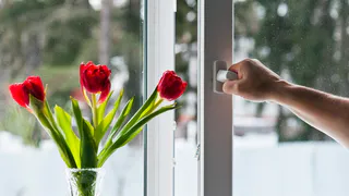 Сезон установки окон открыт: где в Рязани найти интересные предложения