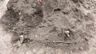 Человеческие кости нашли в Рязани во время ремонта