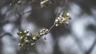 О погоде в Рязани - чем запомнится первая неделя апреля
