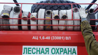 Рослесхоз обвинил рязанские власти в сокрытии реальной площади лесных пожаров