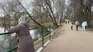 Судьба даст ценный шанс: кому из знаков Зодиака 7 ноября 2025 года стоит рискнуть