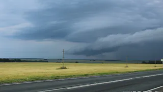 23 августа в Рязани будет дождливо