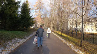 В Рязанской области ожидаются заморозки в ночь на 11 ноября 