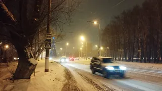 Житель области сбил инспектора охотнадзора
