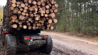 Под Рязанью ФСБ остановило предпринимателя, вывозившего лес без документов