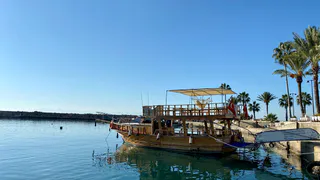 "Купаться невозможно, сидим на берегу": Черное море преподнесло еще один неприятный сюрприз туристам