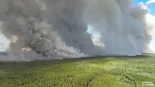 Лесной пожар под Рязанью сняли с высоты
