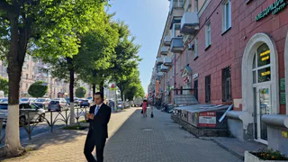 Рязанцы возмутились вырубкой здоровых деревьев на улице Фирсова