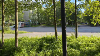 В понедельник в Рязани будет тепло, но промокнуть рискует каждый