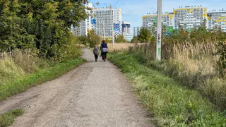 Долгожданный ремонт обернулся булыжниками — житель Елатьмы пожаловался на дорогу