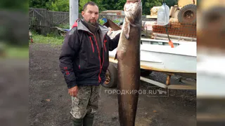 Рыбак из Кировской области 25 минут сражался с 32-килограммовым сомом и снимал это на видео