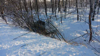 Влетел в ветки: в Клепиковском районе машина оказалась в кювете